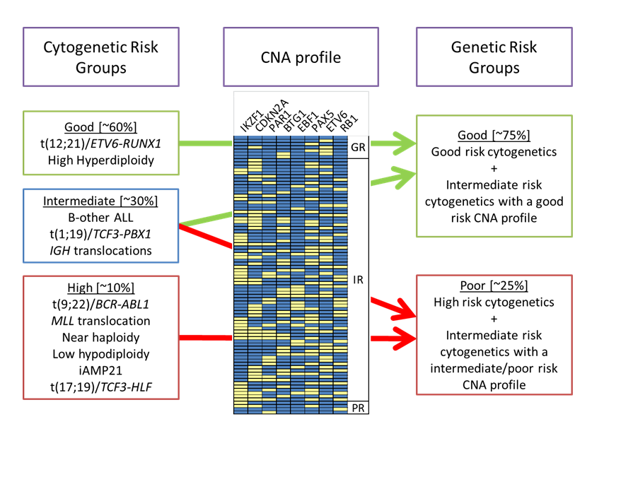 integrated cytogenetic and genomic classification